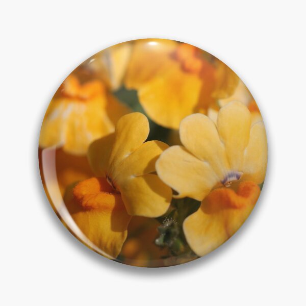 Item preview, Nemesia Strumosa named Angelart Pear designed and sold by JMcCombie.