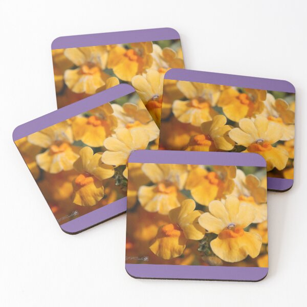 Item preview, Nemesia Strumosa named Angelart Pear designed and sold by JMcCombie.