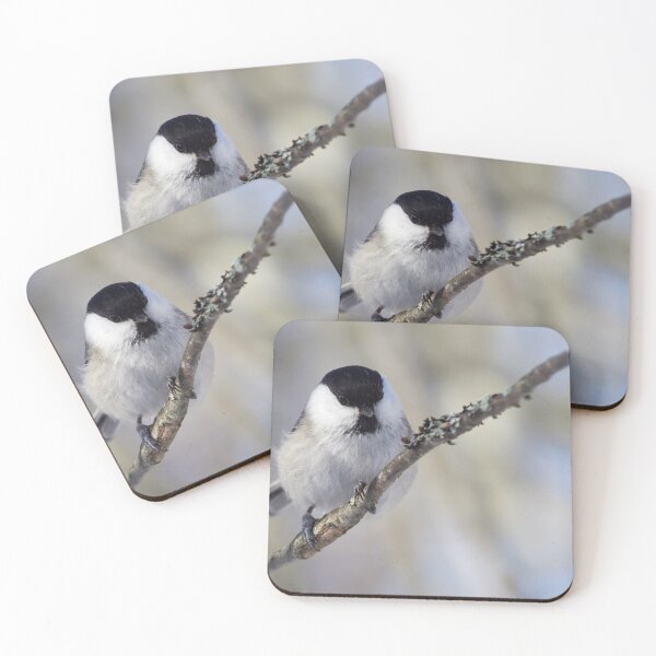 Item preview, WIllow tit panoramic designed and sold by Jouko Lehto Photography.
