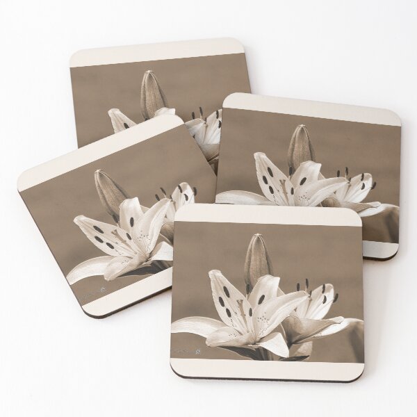 Item preview, Asiatic Lily named Rosella's Dream designed and sold by JMcCombie.