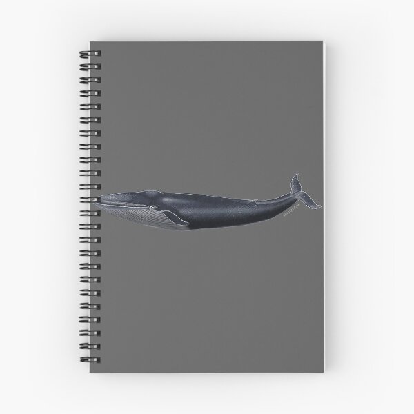 Item preview, Blue Whale  designed and sold by Ailuigidlos.