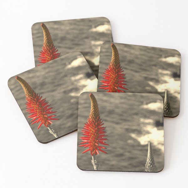 Item preview, Flowering aloe designed and sold by swan2sky.