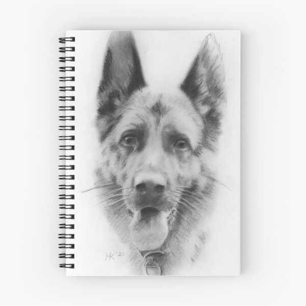 Artikelvorschau, Xena entworfen und verkauft von Martin Kirkwood.