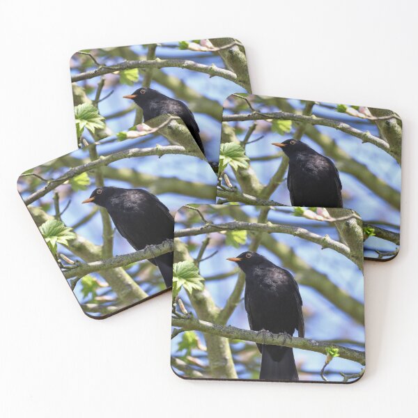 Item preview, Singing Blackbird designed and sold by Joanne wilde.