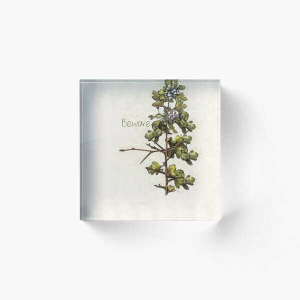Item preview, Hawthorn, Tree Of Wariness designed and sold by dratsie.