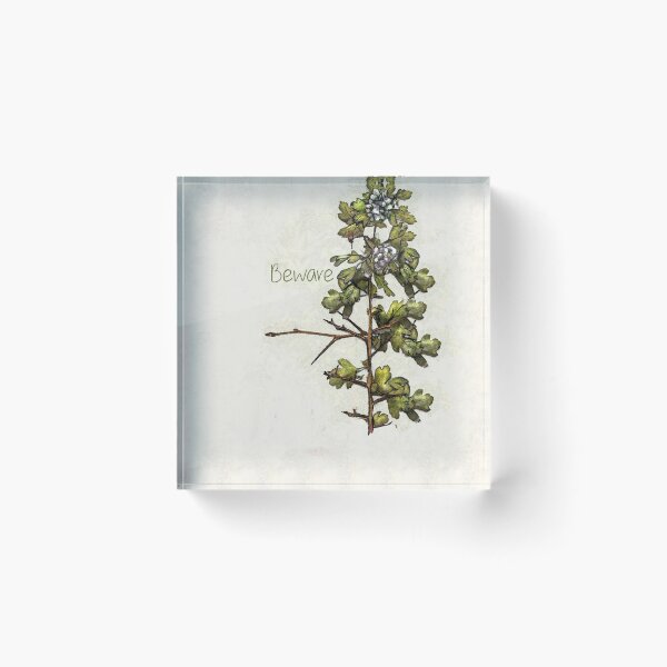 Item preview, Hawthorn, Tree Of Wariness designed and sold by dratsie.