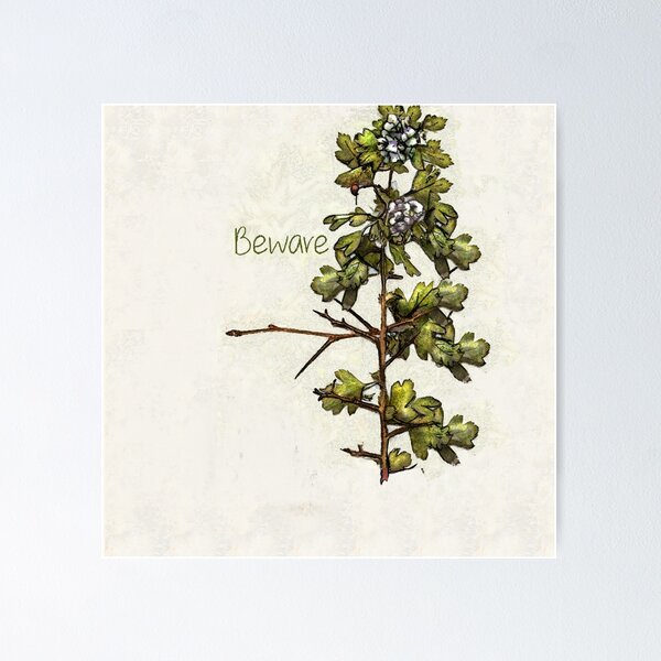 Item preview, Hawthorn, Tree Of Wariness designed and sold by dratsie.
