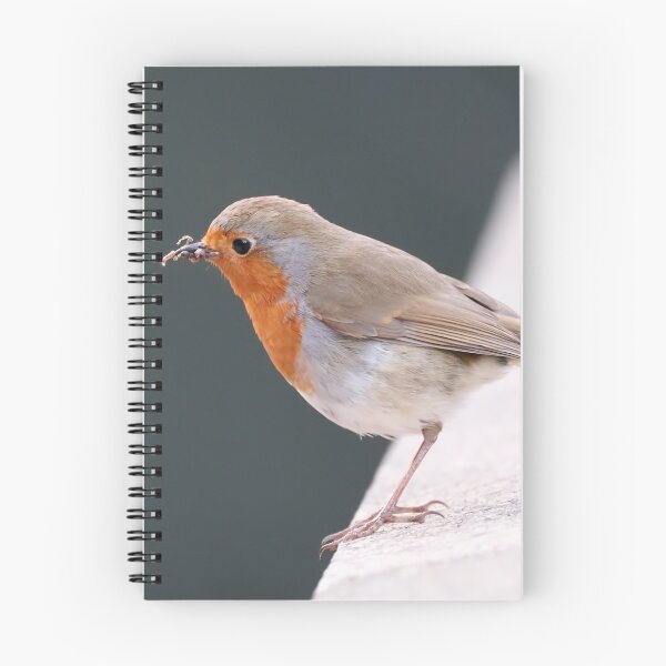 Item preview, Rockin Robin designed and sold by Joanne wilde.