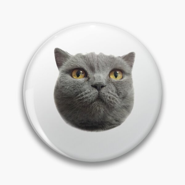 Item preview, British cat designed and sold by crazymel.