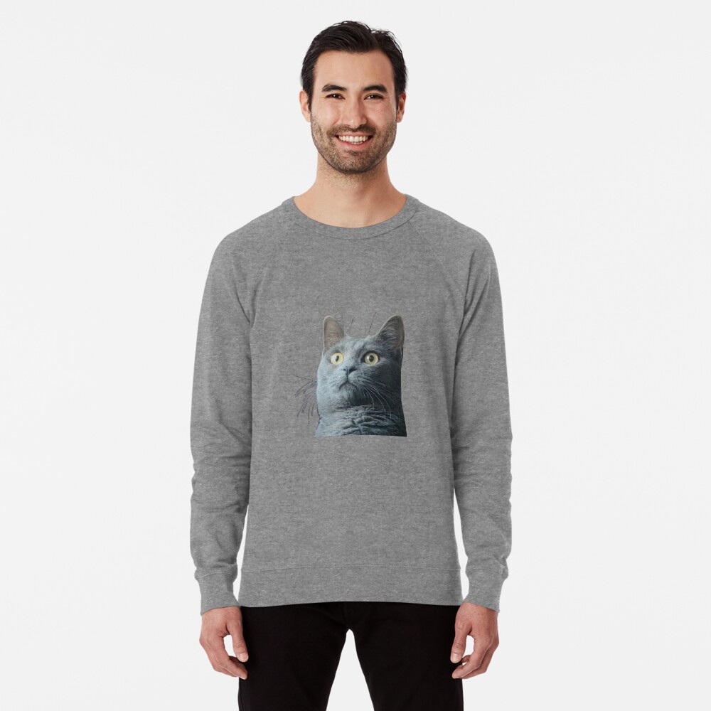 Vista previa del artículo con la obra «Sudadera ligera», diseñado y vendido por Duxi4.