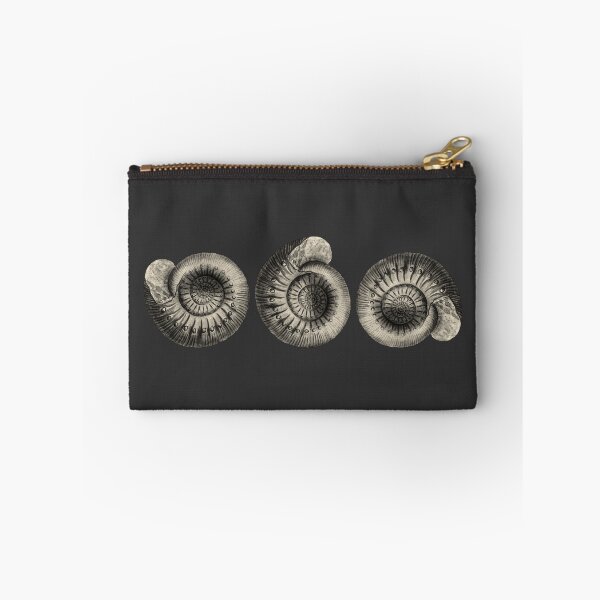 Item preview, Retro Vintage Three Horizontal Shells Edit designed and sold by pignpix.