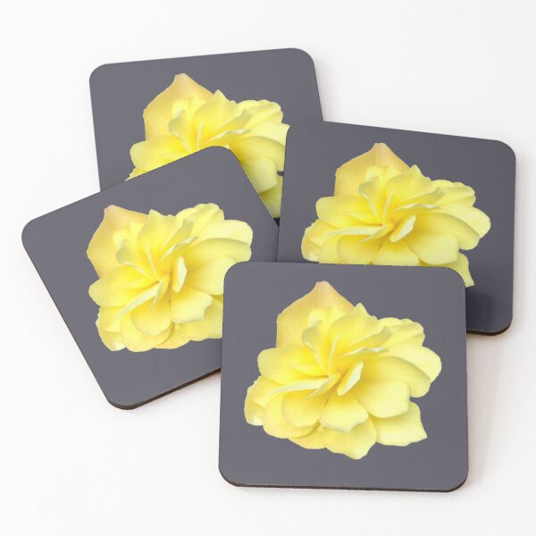 Item preview, Yellow Double Begonia Bloom Close-up 4 designed and sold by InalterataArt.