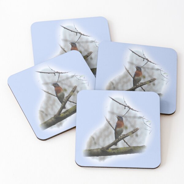 Item preview, Eastern Bluebird designed and sold by laceyyyann34.