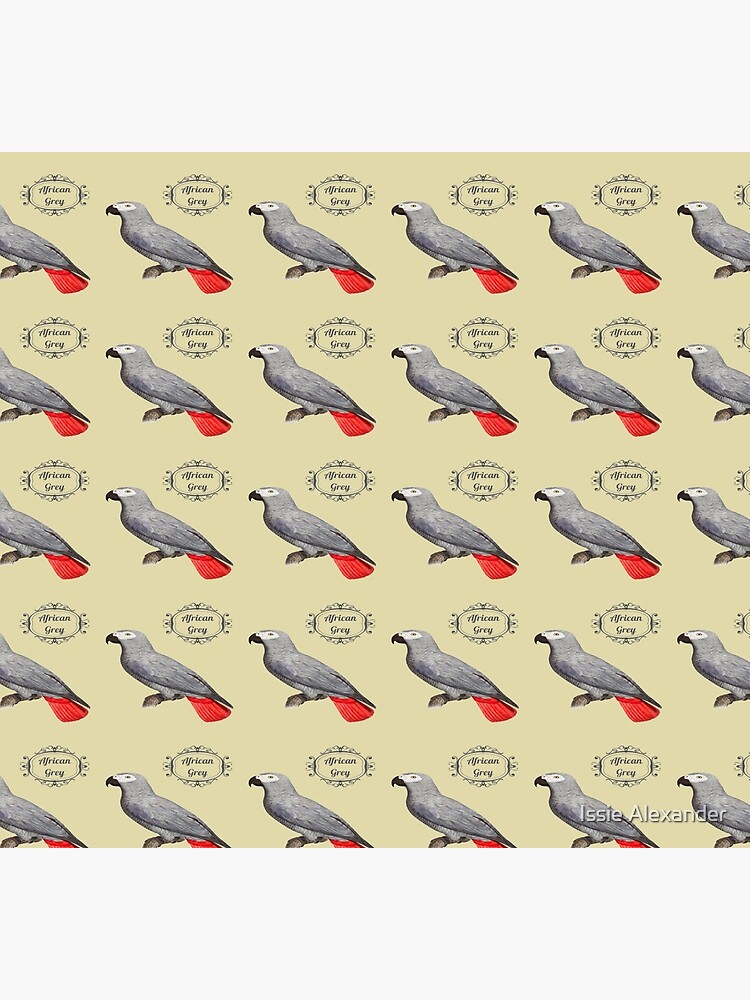 Disover African Grey Parrot. Classic Design Socks