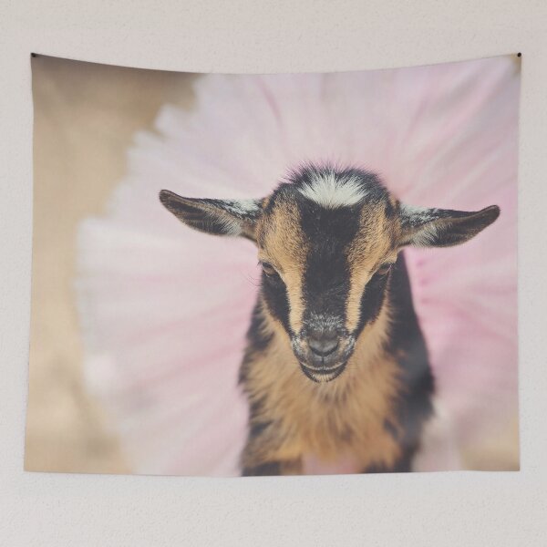 Item preview, Baby Goat in Tutu designed and sold by OryPhotography.