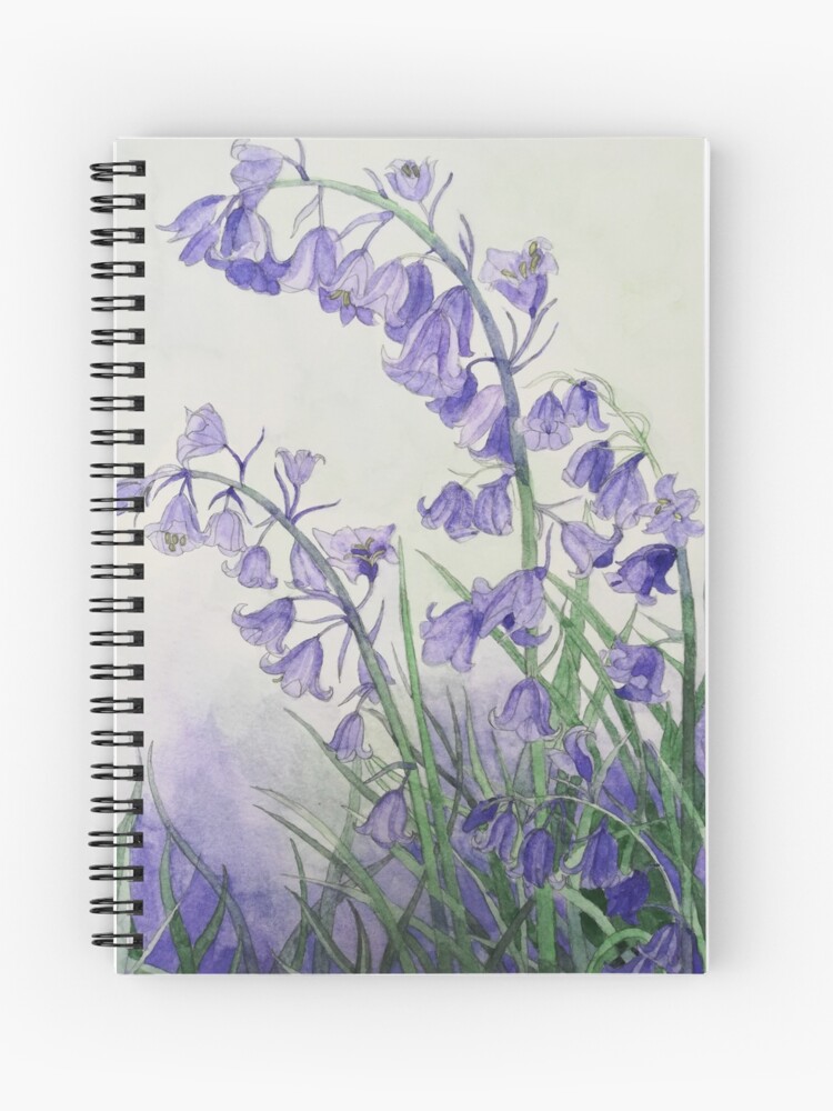 Original Artwork - Bluebell – Lochs & Fens