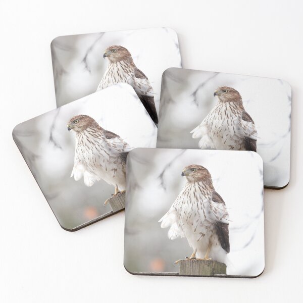 Item preview, Backyard Visitor designed and sold by mlorenz.