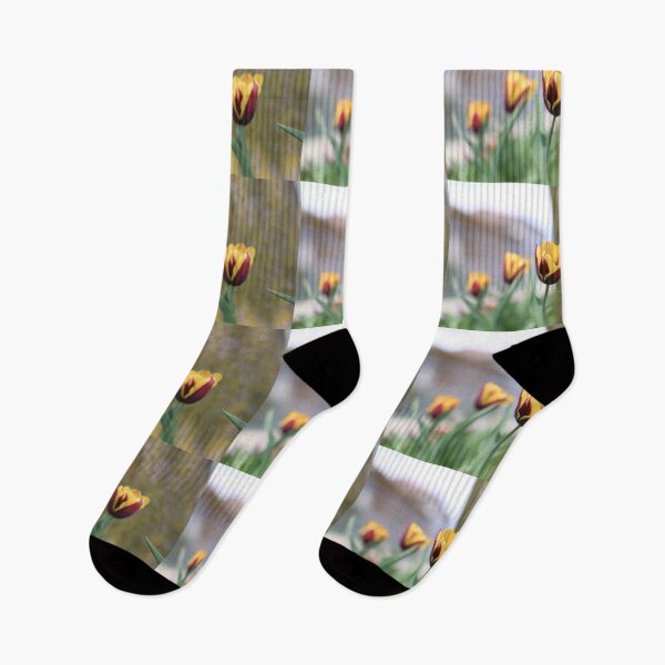 Item preview, Tulip in spring designed and sold by KimhengFineArt.