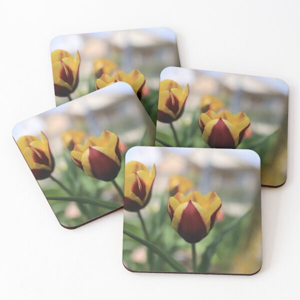 Aperçu de l'œuvre tulipes jaunes et violettes créée et vendue par KimhengFineArt.