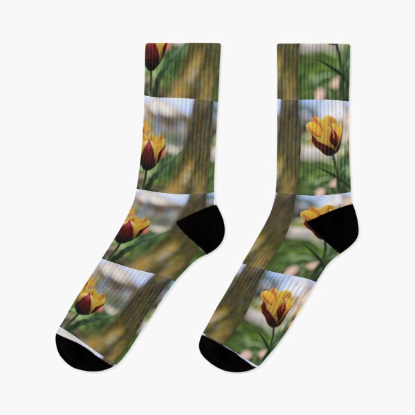 Item preview, yellow and purple tulips designed and sold by KimhengFineArt.