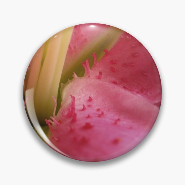 Artikelvorschau, Stargazer Lily entworfen und verkauft von Linda Bianic.