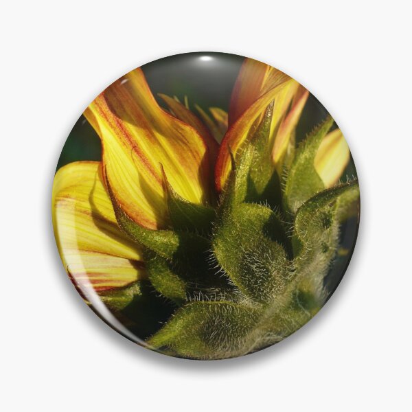 Item preview, Sunflower Backside designed and sold by Linda Bianic.