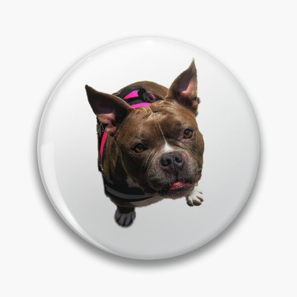 Item preview, Pitbull-ish Named Nala designed and sold by Oruga420.