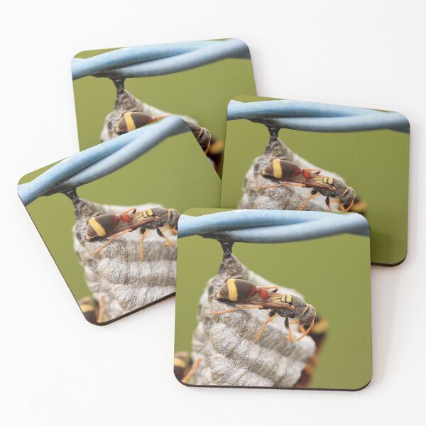 Item preview, Wasp and Wire designed and sold by cathywillett.