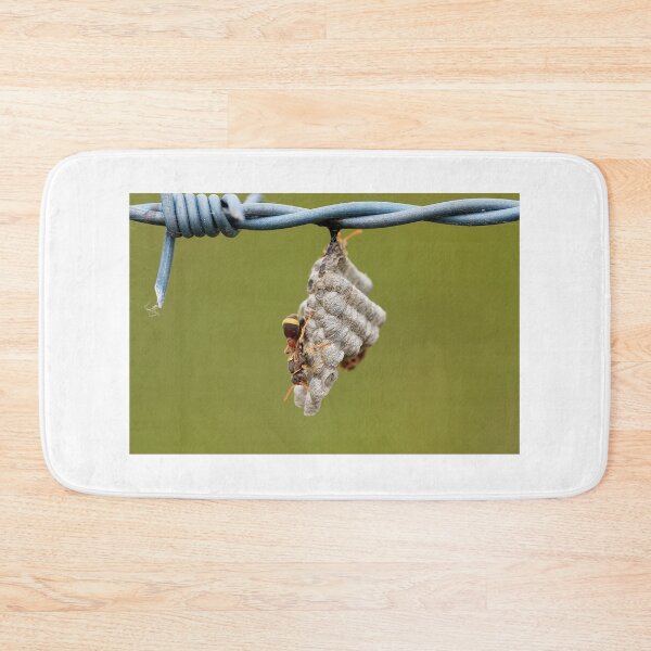 Item preview, Nest designed and sold by cathywillett.