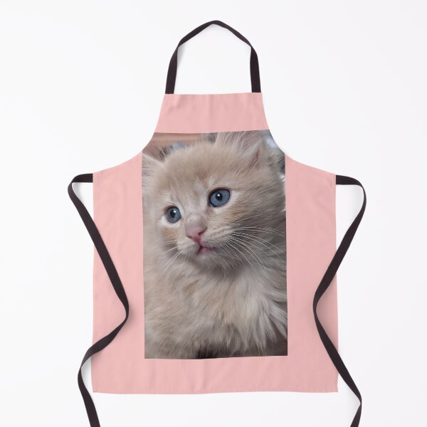 Item preview, Sweet Mainecoon ragdoll kitten designed and sold by Fluffycat2020.