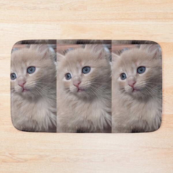 Item preview, Sweet Mainecoon ragdoll kitten designed and sold by Fluffycat2020.