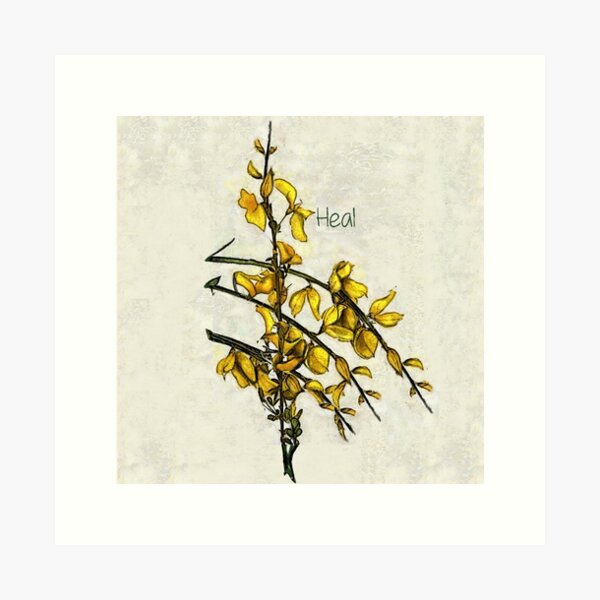 Item preview, Broom, Tree Of Healing designed and sold by dratsie.