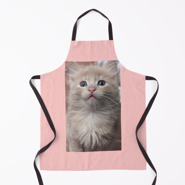 Item preview, Copy of Sweet Mainecoon ragdoll kitten designed and sold by Fluffycat2020.