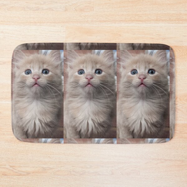 Item preview, Copy of Sweet Mainecoon ragdoll kitten designed and sold by Fluffycat2020.