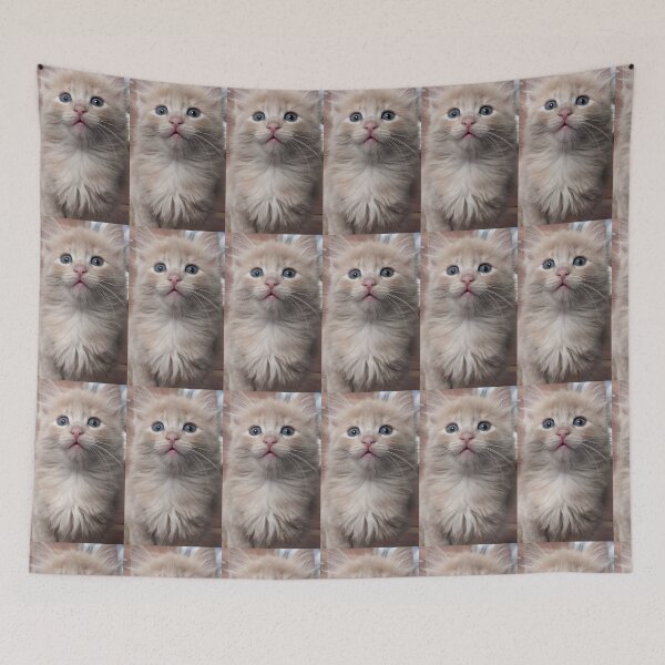 Item preview, Copy of Sweet Mainecoon ragdoll kitten designed and sold by Fluffycat2020.