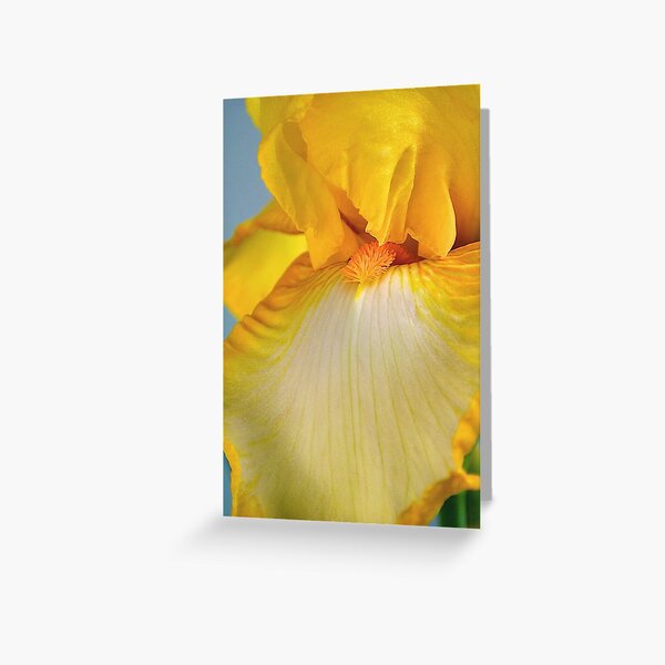 Turning My World Yellow - Bearded Iris Greeting Card