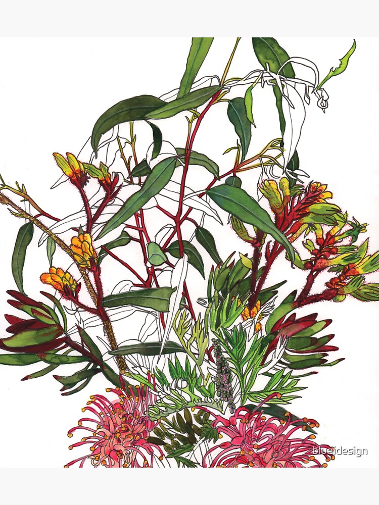Thumbnail 3 of 3, Sticker, Australian native flower arrangement designed and sold by blueidesign.