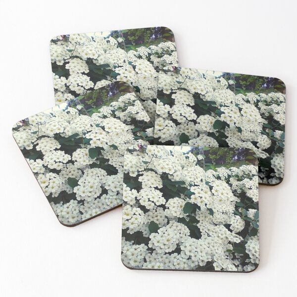 Item preview, Reeve's Spiraea bush designed and sold by Mothe3rd.