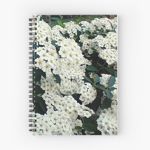 Item preview, Reeve's Spiraea bush designed and sold by Mothe3rd.