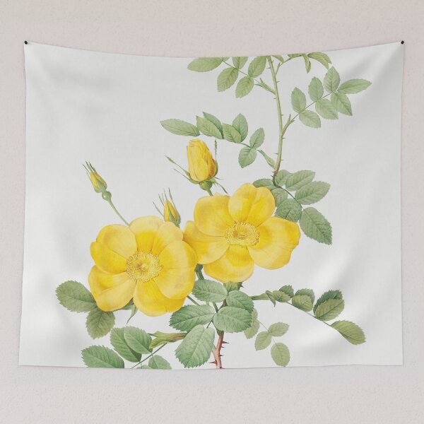 Item preview, Les Roses by Pierre-Joseph Redouté designed and sold by EsotericBotanic.