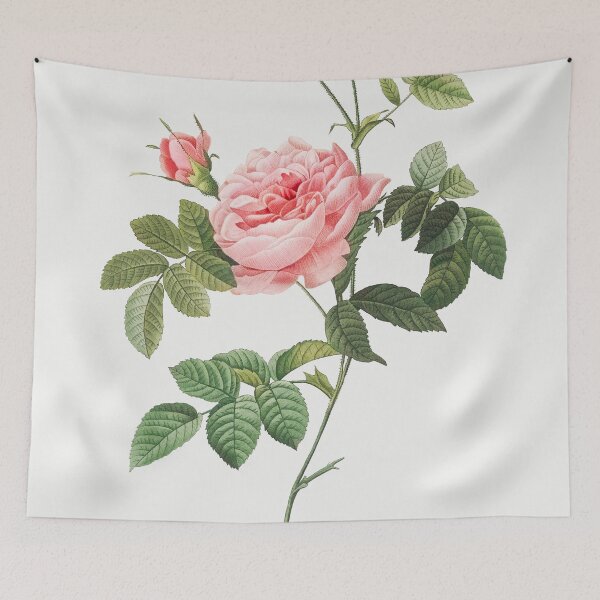 Item preview, Les Roses by Pierre-Joseph Redouté designed and sold by EsotericBotanic.