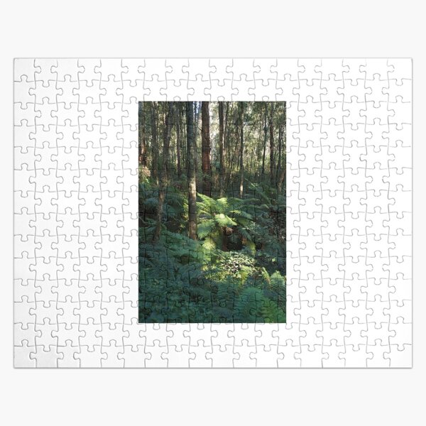 Sunlit Tree Fern Jigsaw Puzzle