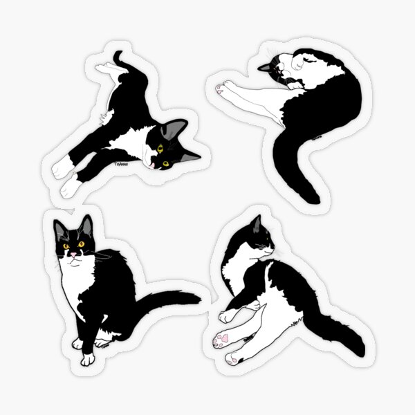 Cute Tuxedo cat four sticker group pack Transparent Sticker