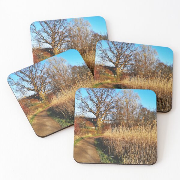 Item preview, sunny forest path designed and sold by OMdesigns93.