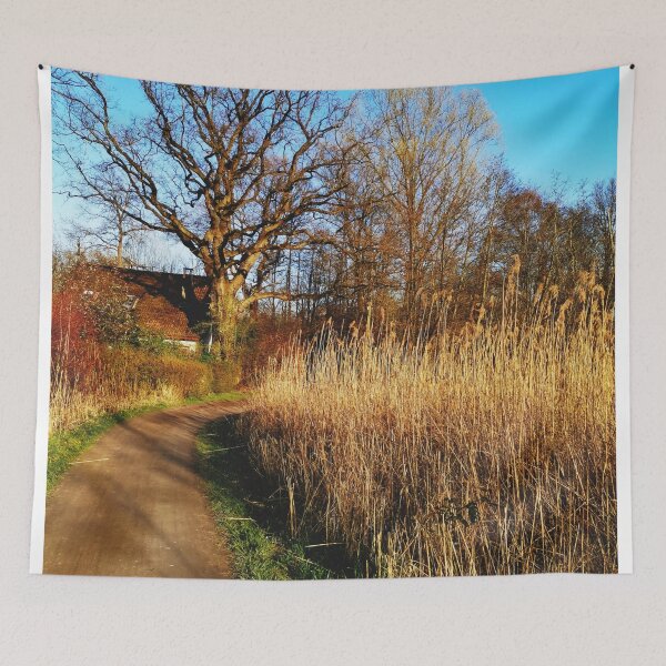 Item preview, sunny forest path designed and sold by OMdesigns93.
