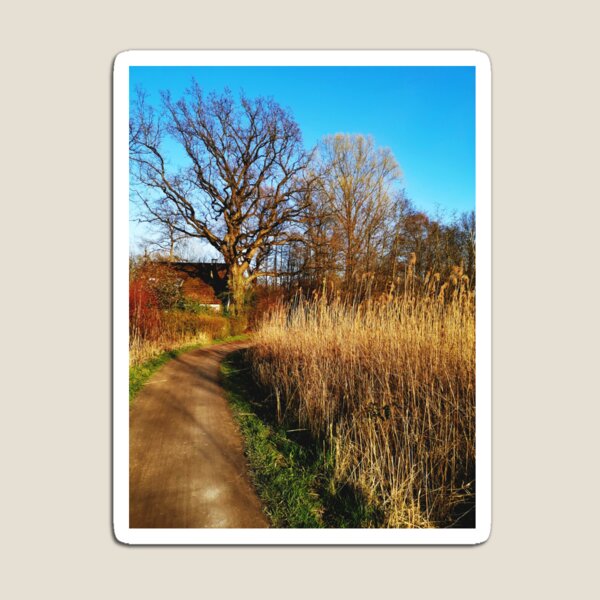 Item preview, sunny forest path designed and sold by OMdesigns93.