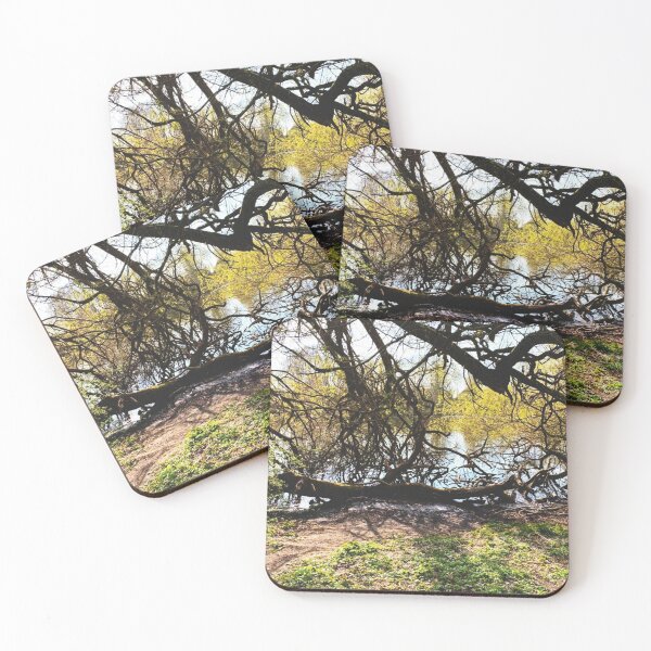 Item preview, Mysterious trees by the lake designed and sold by OMdesigns93.