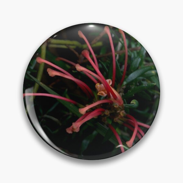 Item preview, Grevillea Close Up designed and sold by GP1746.