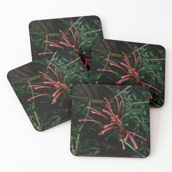 Item preview, Grevillea Close Up designed and sold by GP1746.