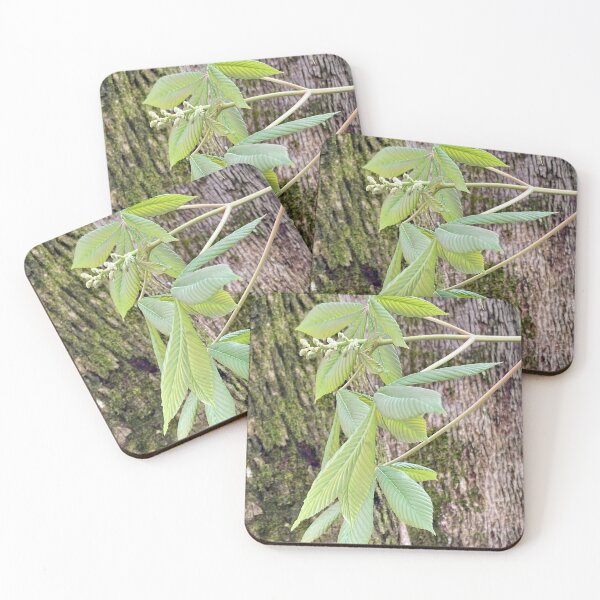 Item preview, Carolina Painted Buckeye leaves designed and sold by Max Kindly.
